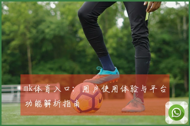 mk体育入口：用户使用体验与平台功能解析指南