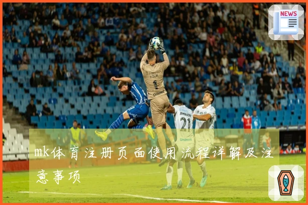 mk体育注册页面使用流程详解及注意事项