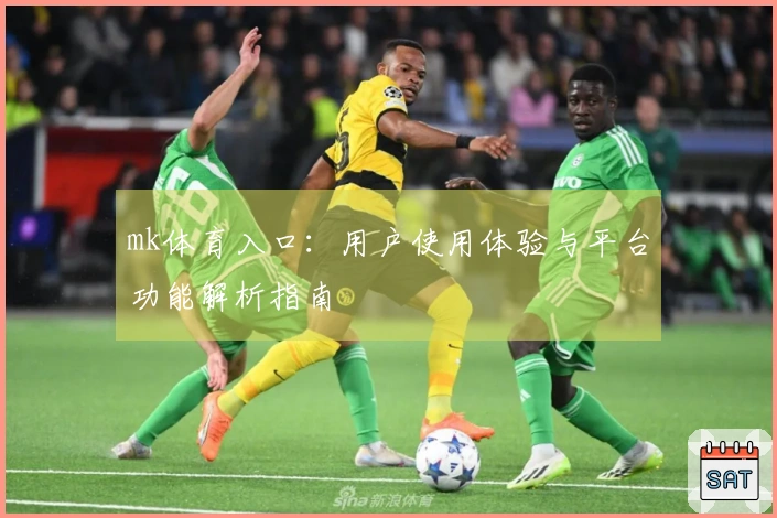 mk体育入口：用户使用体验与平台功能解析指南
